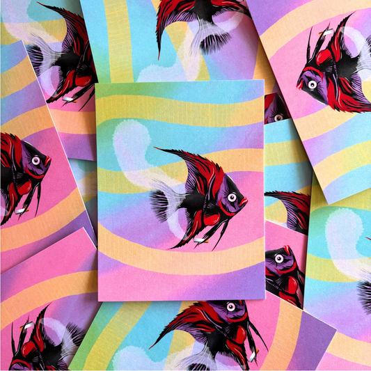 Angelfish Postcard